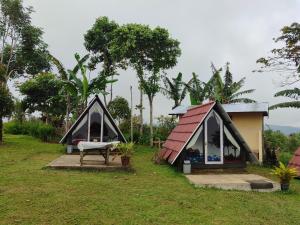 a couple of tents sitting in a field at Bugo Camp, Glamping & Natural Activity in Munduk