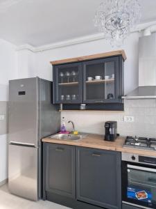 a kitchen with a stainless steel refrigerator and a sink at RANEVO Apartment Timis in Moşniţa Nouă