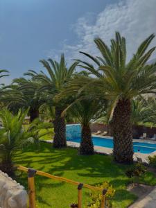 a group of palm trees next to a swimming pool at Rio Lindo Ecolodge in Lunahuaná +65 photos