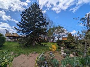 a garden with a large pine tree in the yard at Roulotte cosy avec jacuzzi et spa, massages bien-être, nature et calme, près de Lyon - FR-1-582-477 in Monistrol-sur-Loire