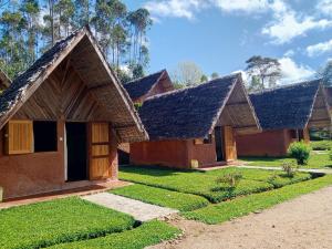a row of cottages with grass at Soanala in Moramanga