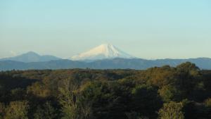 日式旅馆周边自然景观