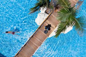 an overhead view of a swimming pool with a palm tree at SEAFOS Luxury Resort & Spa - Limited Edition by Leonardo Hotels in Kandia