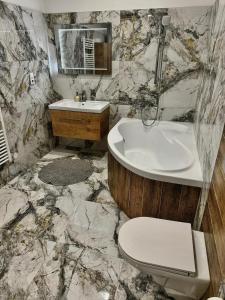 Koupelna v ubytování Rybářská restaurace a penzion u Horáků + 22 fotografií