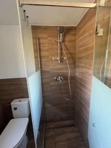 y baño con aseo y ducha. en Cabana din deal, en Poiana Vadului