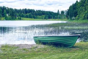 a green boat sitting on the shore of a lake at Holiday Villa Himos Hopearanta in Himos