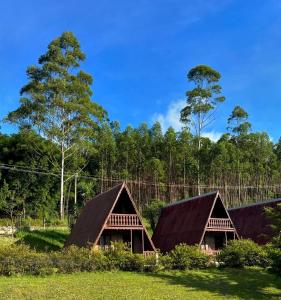 Budova, kde se chata nachází + 52 fotografií