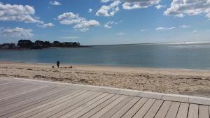 a person standing on a beach with two dogs at La Riviera à 50m de la plage in Bénodet