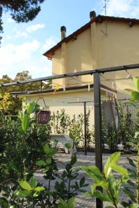 Zahrada ubytování Villa Rosy