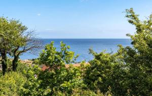 een uitzicht op de oceaan van achter enkele bomen bij Gudhjem Søpark Lejl 25 in Gudhjem