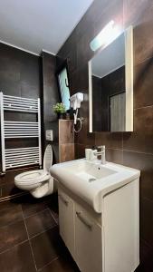 ein Badezimmer mit Waschbecken, Toilette und Spiegel in der Unterkunft Vila Blanc in Costinești + 38 Fotos