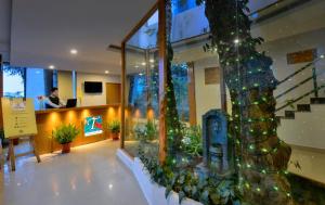Kép TreeHouse Chail Villas szállásáról Csailban a galériában