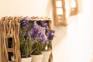 Fotografie z fotogalerie ubytování Guest House Nonna Rosa v destinaci Vercelli