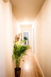 Fotografie z fotogalerie ubytování Guest House Nonna Rosa v destinaci Vercelli