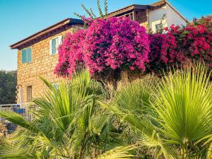 a building with pink flowers on the side of it at Cyprus Villages Hotel & Restaurant - Central Location - Bed & Breakfast - With Access To Pool And Stunning Views in Tochni