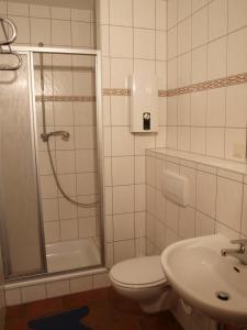 a bathroom with a shower and a toilet and a sink at Ferienhof Nonnevitzer Strand, Typ B in Dranske