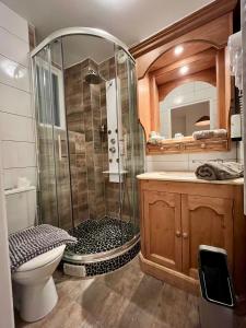 a bathroom with a shower and a toilet and a sink at Logis H&ocirc;tel De La Chapelle in Milon-la-Chapelle