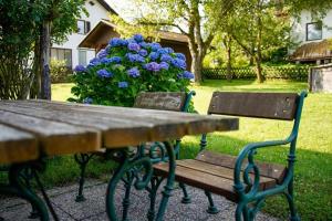 Zahrada ubytování NaturparkResort Haus Geigenkogel