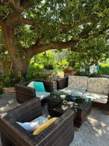 une terrasse avec des canapés et une table sous un arbre dans l'établissement Apartments Dumicic, à Rab 58 autres photos
