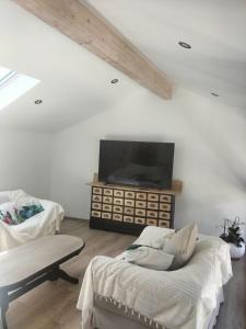 a living room with a tv and a couch at Lecarréblanc in Izaut-de-lʼHôtel