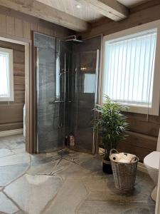 a bathroom with a shower and a plant in it at Cabin with Porsche to rent in Sogndal