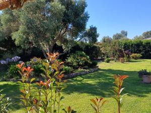 a garden with green grass and flowers and trees at Le jardin de Domi in Ventiseri