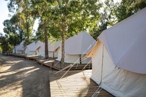 Fotografie z fotogalerie ubytování HolaCamp Albufeira v destinaci Albufeira