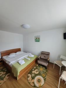 une chambre avec un lit, une chaise et une table dans l'établissement Casa Marian, à Buşteni