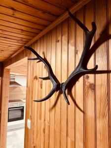 Fotografie z fotogalerie ubytování Chalet des faisans v destinaci Hastière-par-delà