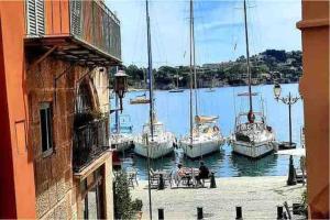 a group of boats are docked in a harbor at Petit cocon in Villefranche-sur-Mer