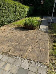 un sentiero in pietra con una pianta al centro di 2 Bed Apartment Scarisbrick Street Ormskirk - Rooms by Vici a Ormskirk