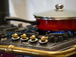 Fotografie z fotogalerie ubytování La Louve Chez Valérie v destinaci Châtelneuf