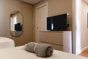 TV a/nebo společenská místnost v ubytování Ayma B&B