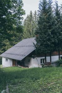 a white house with a gray roof and trees at Chopina 43 in Karpacz