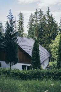 a white house with a metal roof and trees at Chopina 43 in Karpacz