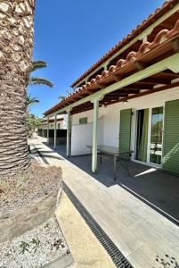 a porch of a house with a bench and a palm tree at Stefanie Studios in Egina