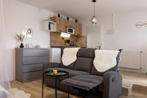 een woonkamer met een bank en een keuken bij Apartments Lia in Ljubljana