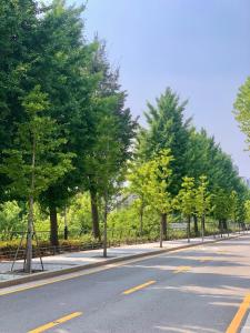 Fotografie z fotogalerie ubytování 10minutes from Korea University#cozy house#동대문 v Soulu