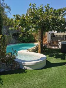 a small swimming pool with a tree in a yard at Casa Louise - Piscine et jacuzzi privatifs in Sainte-Maxime
