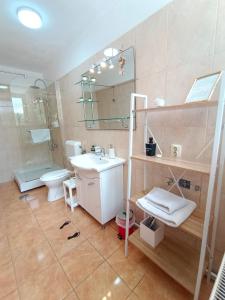 une salle de bains avec lavabo et toilettes dans l'établissement Central Park Apartments, à Braşov
