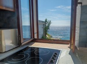ロヴィニにあるApartments Hinterreiterの海の景色を望むキッチン(コンロ付)