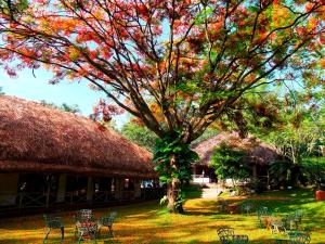 Zahrada ubytování Spice Village Thekkady - A CGH Earth Experience