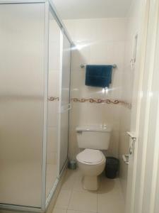 a bathroom with a toilet and a glass shower at Disfruta San Antonio en Cali in Cali