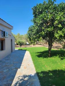 Κήπος έξω από το Skioni Garden Casa