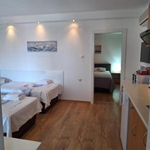 a hotel room with two beds and a kitchen at Apartments Chemenko in Konsko