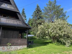 Ogród w obiekcie Drewniany Domek BB Nad Rzeką
