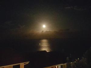 Φυσικό τοπίο κοντά σε αυτό το διαμέρισμα +15 φωτογραφίες