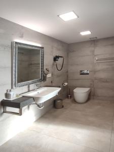 een badkamer met een wastafel, een toilet en een spiegel bij VillasRoyale Diamante in San Bartolomé