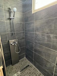 a shower with a shower head in a bathroom at Appartement F2 résidence calme avec piscine SAINT-ANDRE in Saint-André