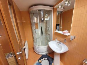 une salle de bain avec un lavabo, une douche et des toilettes dans l'établissement Casa Marian, à Buşteni 49 autres photos